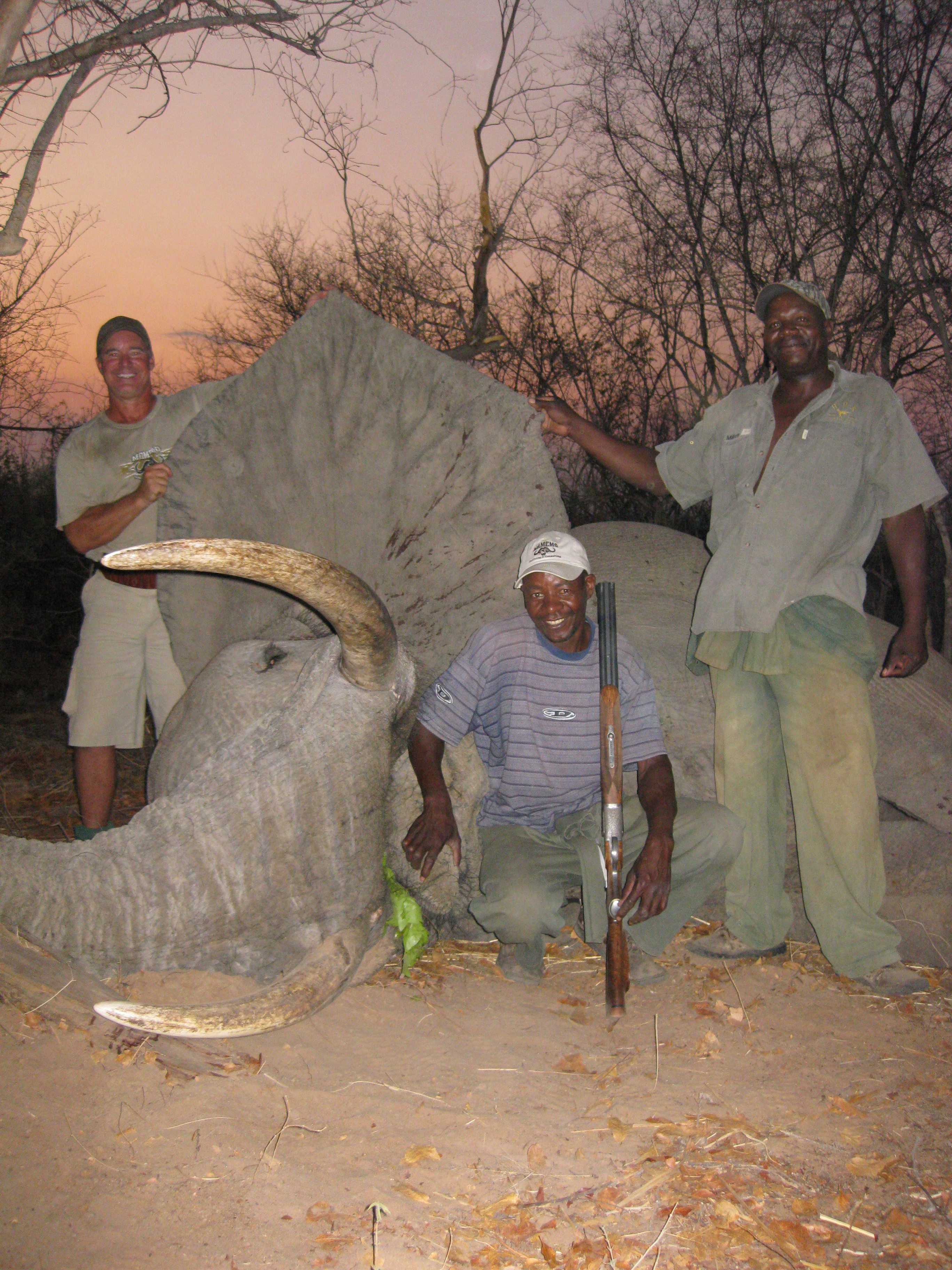 Zimbabwe Hunting, South African Safari Hunting, Hunt Africa, African